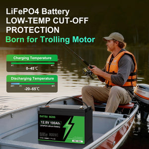 DATOUBOSS 12VDC–230VAC 1800W 1.28kWh 100Ah Power Kit Hybrid Inverter with Built - in MPPT Controller & 12V 100Ah LiFePO4 Battery (EVE Cells) Smart BMS Protection High Efficiency for Home Energy Storage RV Outdoor Camping Off - Grid Cabin Backup Power System - DATOUBOSS Rechargeable Lifepo4 Batteries Voltage Converters InverterSP-DT-1218M-12V100A-L-EU