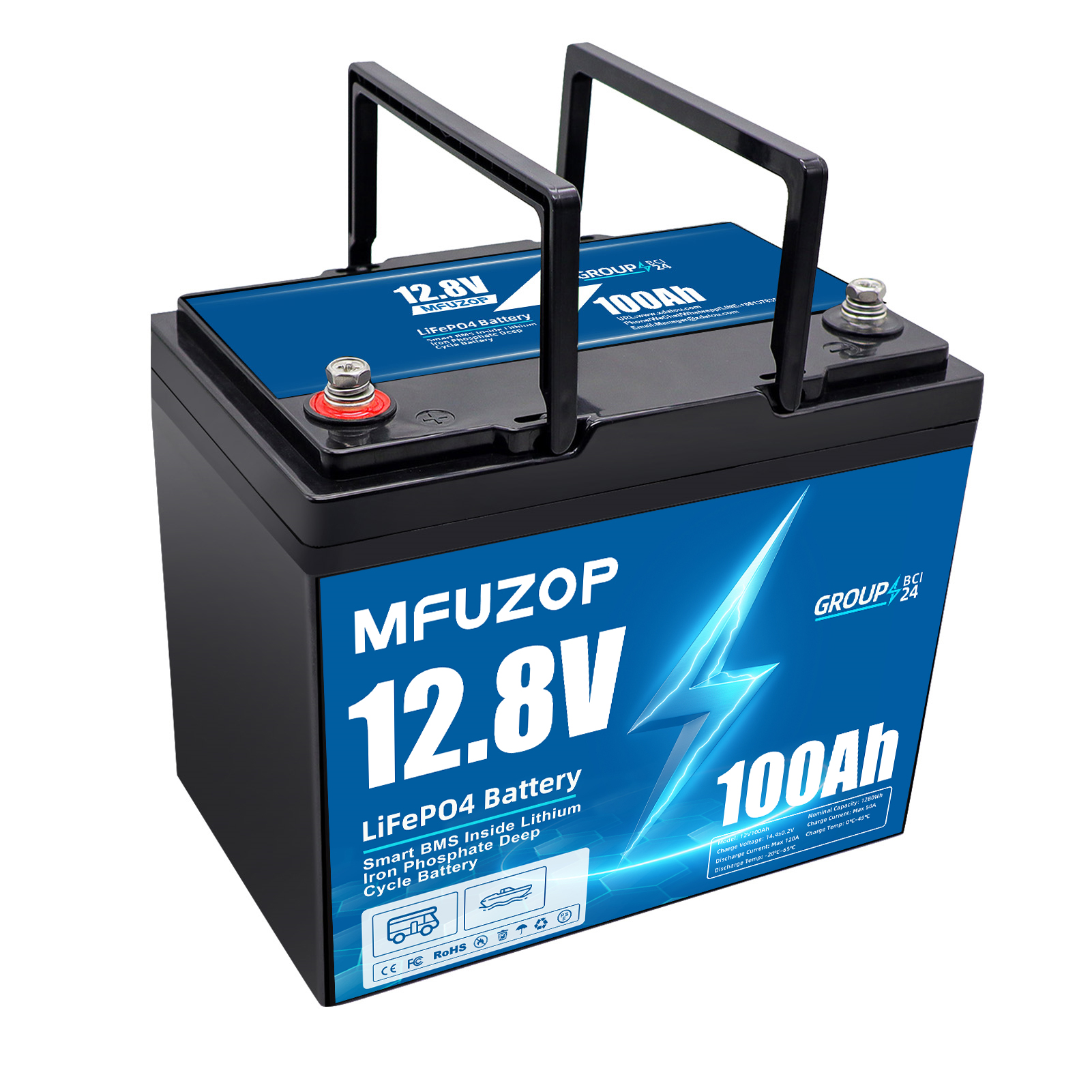 DATOUBOSS 12V 100Ah Lithium LiFePO4 Battery with 100A BMS  Deep Cycle Battery for Car Home Solar System