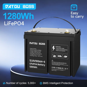 DATOUBOSS 12VDC–230VAC 1800W 1.28kWh 100Ah Power Kit, Hybrid Inverter with Built-in MPPT Controller & 12V 100Ah LiFePO4 Battery, Smart BMS Protection, for RV & Home Backup - DATOUBOSSSP-DT-12V100A-S01-1218M-EU